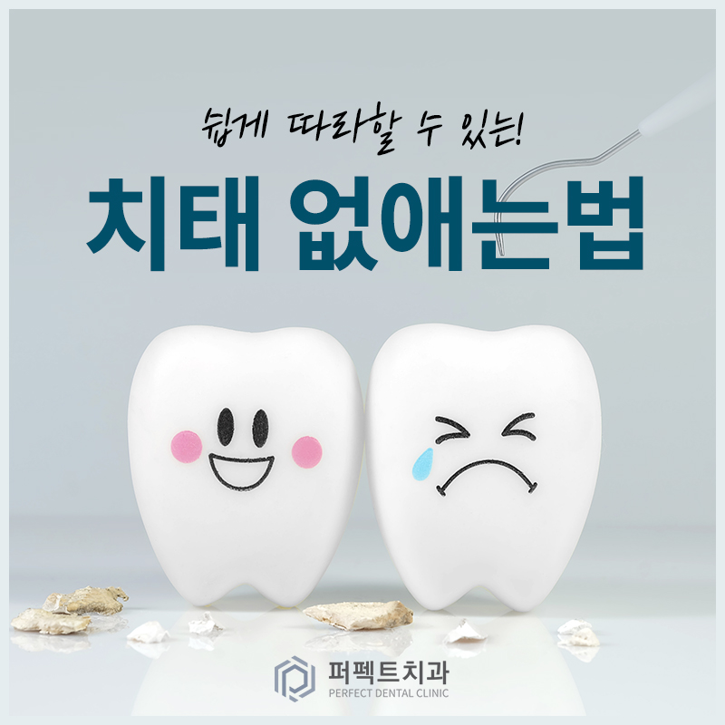 쉬운 치태 없애는 방법! 관련 이미지 1