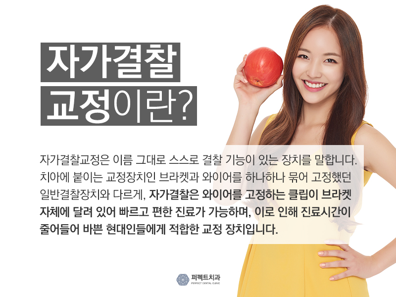 자가결찰장치 종류는? 관련 이미지 4