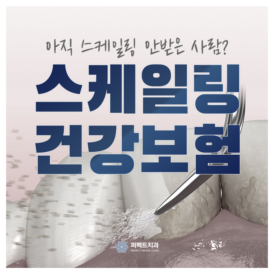 스케일링 효과와 보험적용 관련 이미지 1