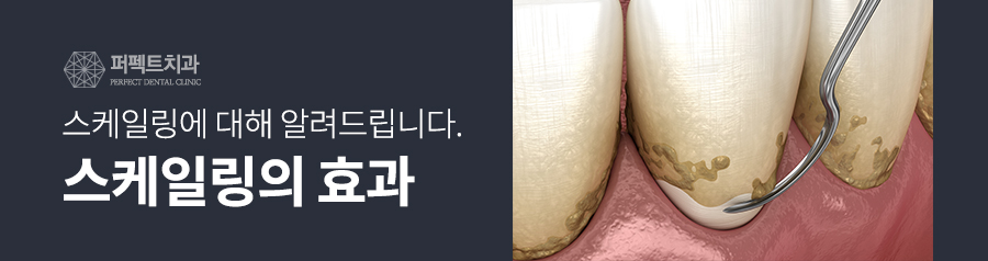스케일링 효과와 보험적용 관련 이미지 3