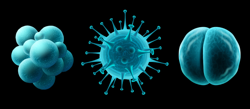구강 박테리아, 들어봤어? 관련 이미지 4