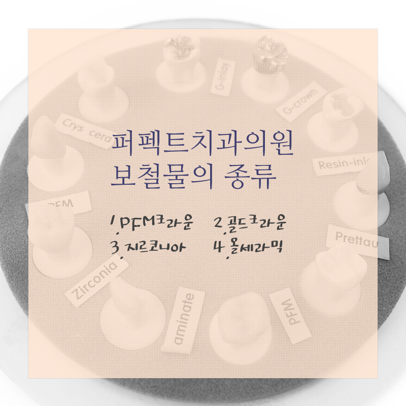 다시돌아온 지르코니아 크라운! 관련 이미지 2