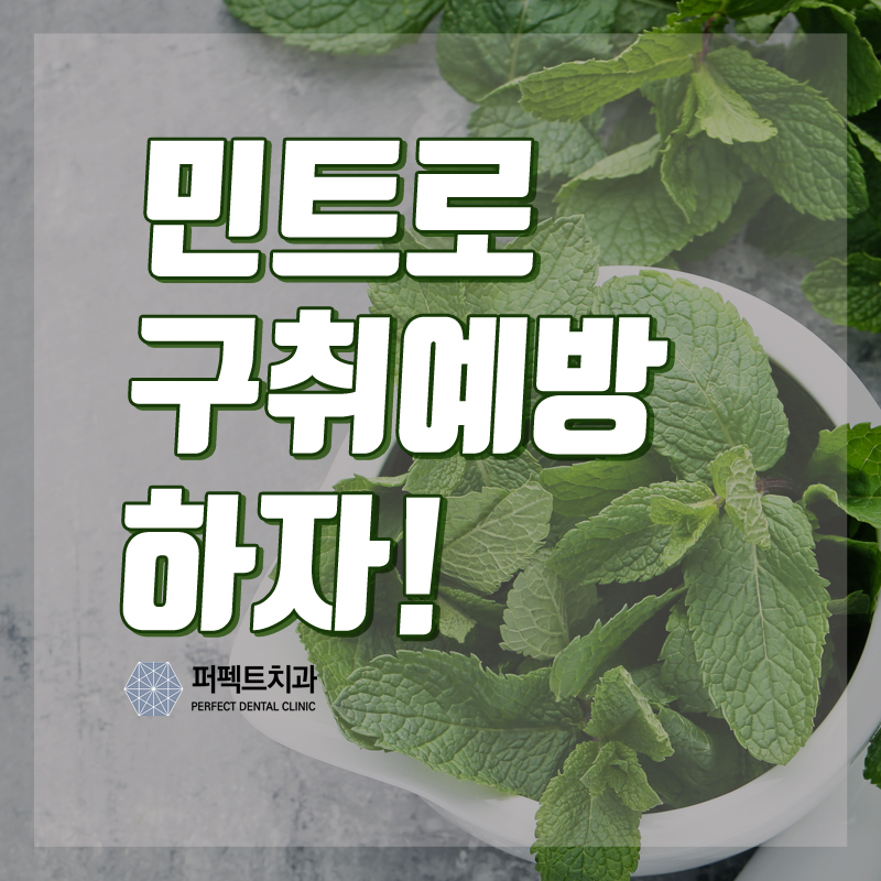 민트활용으로 구취 예방하기! 관련 이미지 1