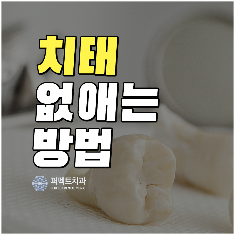 치태 없애는 방법 확인! 관련 이미지 1