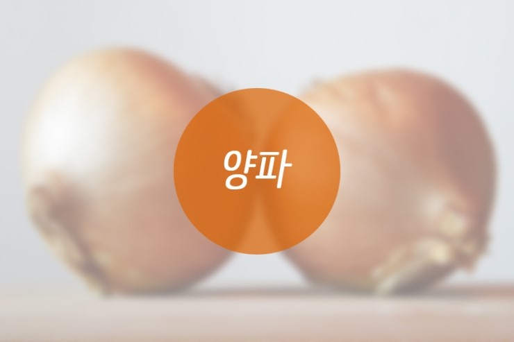 입맛 도는 가을철! 다이어트에 좋은 음식은? 관련 이미지 2