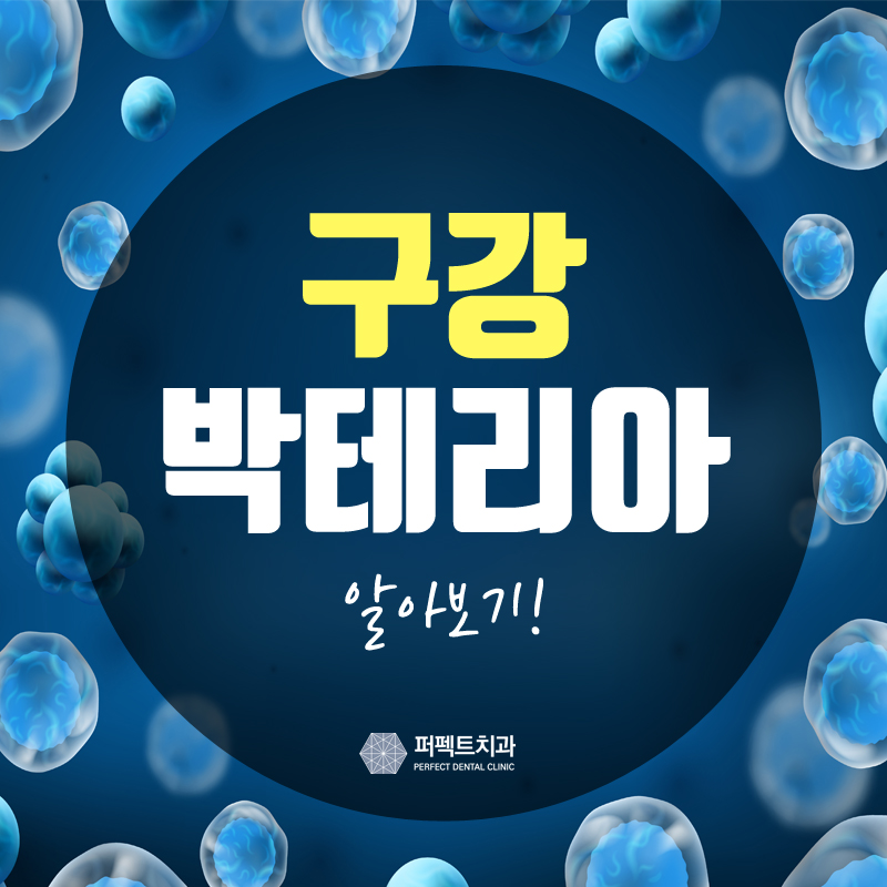 구강 박테리아, 들어봤어? 관련 이미지 1