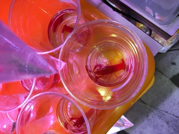 [타이베이] 지앤궈 주말마켓 - 옥시장,꽃시장,공예품시장 - 주말 아침 산책 코스 관련 이미지 13