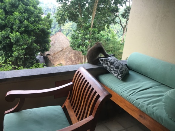 [발리,우붓] 알릴라우붓 - 원숭이랑 정글이랑 책이랑♡ (Alila Ubud) 관련 이미지 29