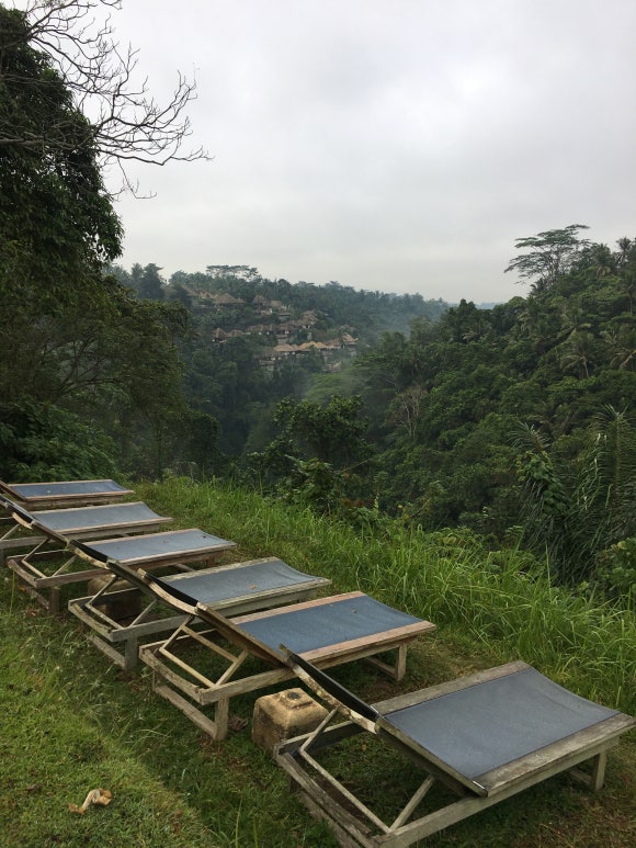 [발리,우붓] 알릴라우붓 - 원숭이랑 정글이랑 책이랑♡ (Alila Ubud) 관련 이미지 18