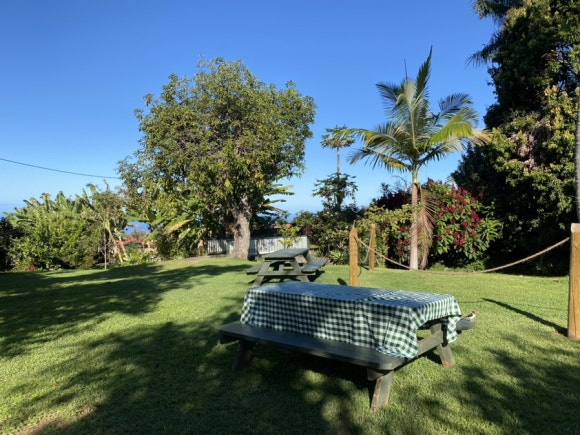 [빅아일랜드] 그린웰팜스 - 땅에서 식탁까지, 커피 라이프를 배우는 커피 농장 관련 이미지 4