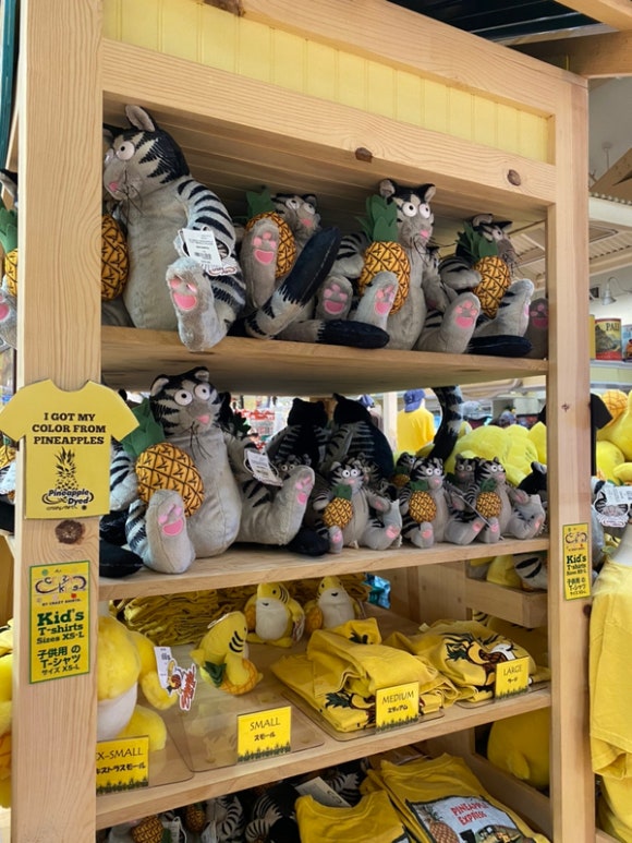 [오아후] 파인애플농장 - 사진이 예쁘게 나오는 색감 맛집 (돌 플랜테이션) 관련 이미지 14