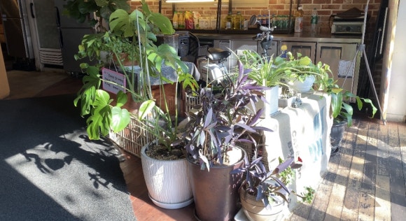 [신촌] 뉴욕비앤씨 - 코로나 2단계 매장이용가능해요 - 아늑한 분위기와 귀여운 강아지가 반겨주는 브런치카페입니다!♡ 관련 이미지 2