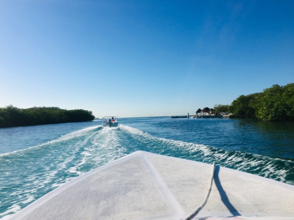 칸쿤 정글투어 - 직접 보트를 운전해서 스노클링 스팟까지! (Jungle Tour Barracuda) 관련 이미지 10