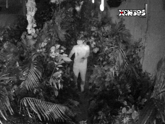 호텔 엑스카렛 멕시코 [테마파크편] - Xenses (오감을 자극하는 트릭아이 뮤지엄) 관련 이미지 25