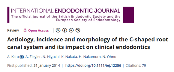[신경치료] 아래 어금니를 신경치료 할 때 치료할 때 알아야 할 것 (C형근관,고난이도치료) 관련 이미지 3