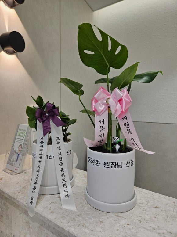 2주간의 꼼꼼한 진료 준비...그리고 첫 진료일! (개원준비기, 개원 선물들, 직원 회식, 신촌 서울재생치과) 관련 이미지 13