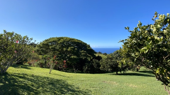 [빅아일랜드] 그린웰팜스 - 땅에서 식탁까지, 커피 라이프를 배우는 커피 농장 관련 이미지 9