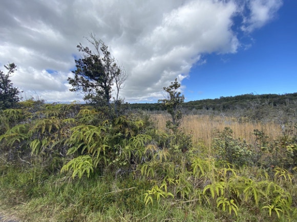 [빅아일랜드] 하와이 화산 국립공원 - 살아있는 화산을 보러 가자 (Hawai 관련 이미지 12