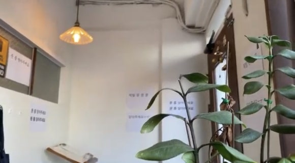 [신촌] 충화반점 ; 트러플오일 뿌려먹는 라구짜장 (위치, 메뉴) 관련 이미지 8