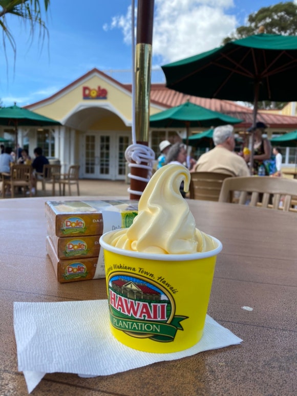 [오아후] 파인애플농장 - 사진이 예쁘게 나오는 색감 맛집 (돌 플랜테이션) 관련 이미지 1