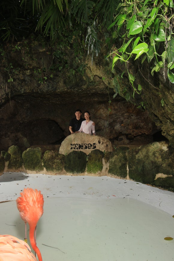 호텔 엑스카렛 멕시코 [테마파크편] - Xenses (오감을 자극하는 트릭아이 뮤지엄) 관련 이미지 29