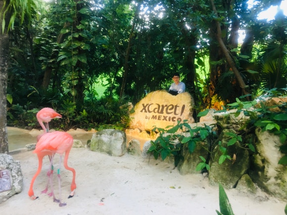 호텔 엑스카렛 멕시코 [테마파크편] - Xcaret park (멕시코 전통 공연, 민속촌, 동물원이 모두 있는 종합선물셋트) 관련 이미지 2