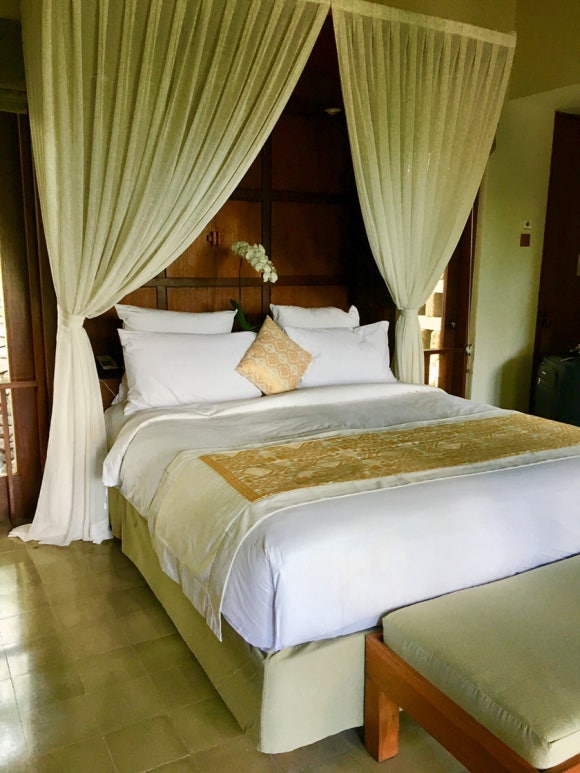 [발리,우붓] 알릴라우붓 - 원숭이랑 정글이랑 책이랑♡ (Alila Ubud) 관련 이미지 2