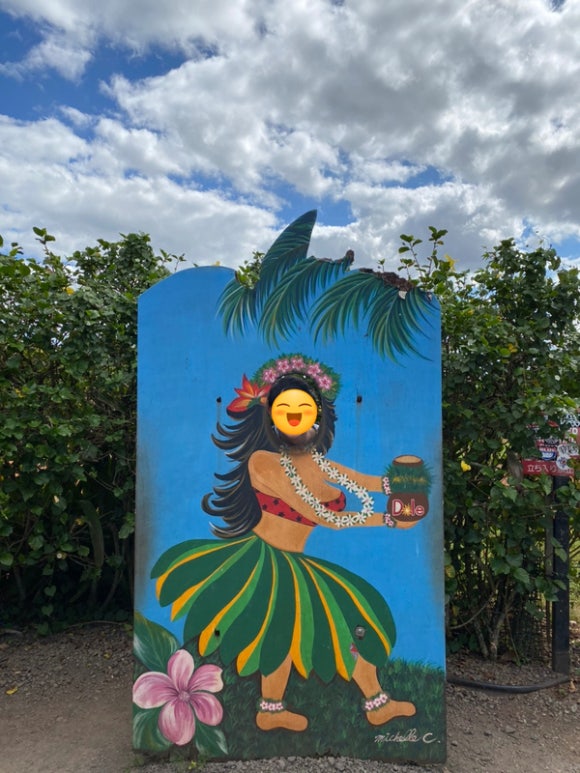 [오아후] 파인애플농장 - 사진이 예쁘게 나오는 색감 맛집 (돌 플랜테이션) 관련 이미지 6