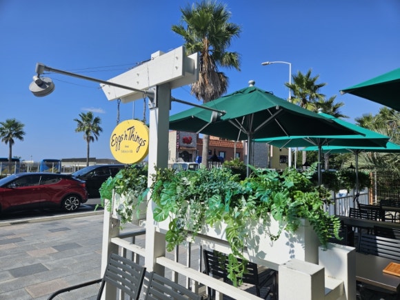 [에노시마] Eggs & things 에그스 앤 띵스 (아침식사, 9월말,10월초 에노시마 날씨) 관련 이미지 8