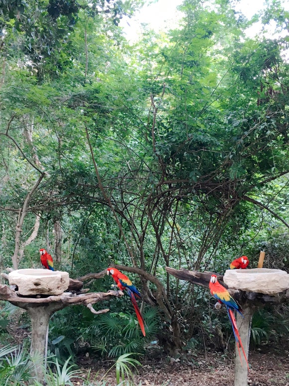 호텔 엑스카렛 멕시코 - 자연친화적이면서 환상적인 칸쿤의 올인클루시브 호텔! (로비 / 포토스팟 feat.만능팔찌) 관련 이미지 19