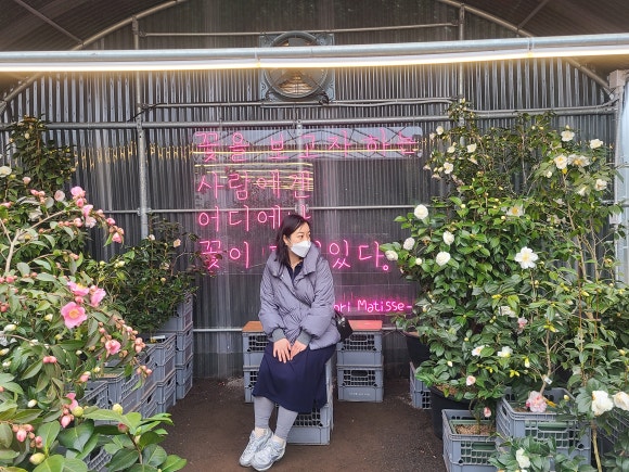 카멜리아힐 - 제주도는 늘 동백과 함께 관련 이미지 1