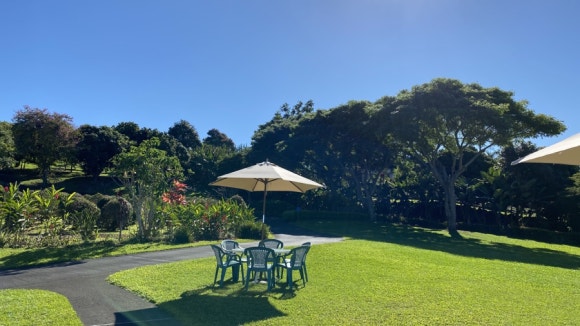 [빅아일랜드] 대표 커피농장 도토루 커피 (마우카 메도우즈 커피 팜) 관련 이미지 13