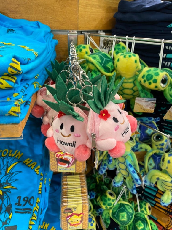 [오아후] 파인애플농장 - 사진이 예쁘게 나오는 색감 맛집 (돌 플랜테이션) 관련 이미지 17