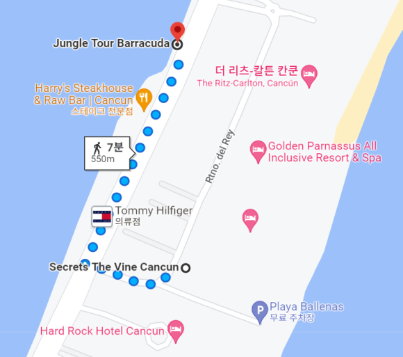 칸쿤 정글투어 - 직접 보트를 운전해서 스노클링 스팟까지! (Jungle Tour Barracuda) 관련 이미지 1