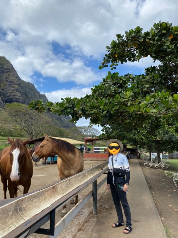 [오아후] 쿠알로아 랜치 UTV 투어 대만족&hearts; 관련 이미지 14