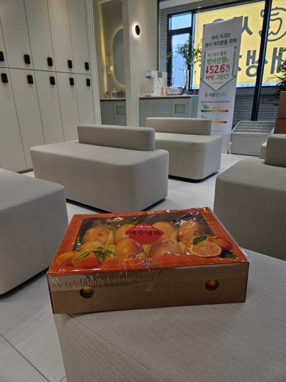 2주간의 꼼꼼한 진료 준비...그리고 첫 진료일! (개원준비기, 개원 선물들, 직원 회식, 신촌 서울재생치과) 관련 이미지 14