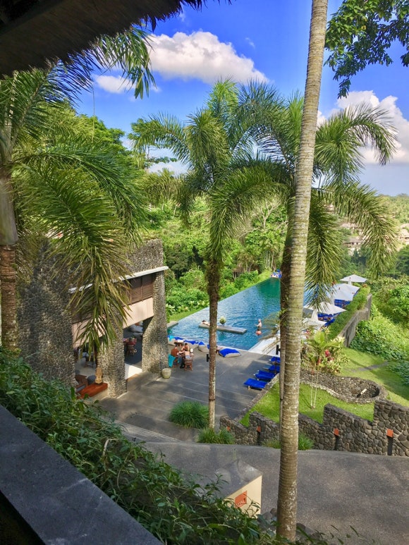 [발리,우붓] 알릴라우붓 - 원숭이랑 정글이랑 책이랑♡ (Alila Ubud) 관련 이미지 4