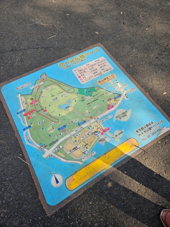 [시부야] 9월에도 꽃이 피는 요요기 공원 (도쿄의 센트럴파크, 애견 동반 달리기 코스, 버드 생츄어리) 관련 이미지 5