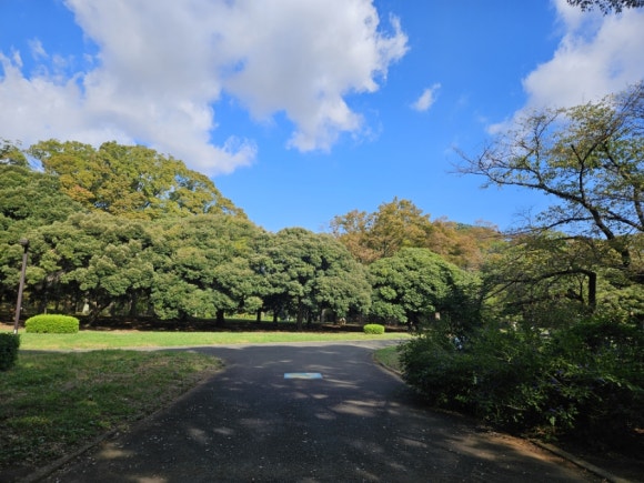 [시부야] 9월에도 꽃이 피는 요요기 공원 (도쿄의 센트럴파크, 애견 동반 달리기 코스, 버드 생츄어리) 관련 이미지 4