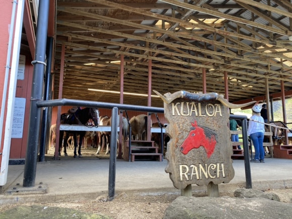 [오아후] 쿠알로아 랜치 UTV 투어 대만족&hearts; 관련 이미지 13