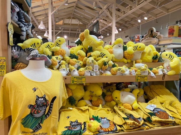 [오아후] 파인애플농장 - 사진이 예쁘게 나오는 색감 맛집 (돌 플랜테이션) 관련 이미지 13