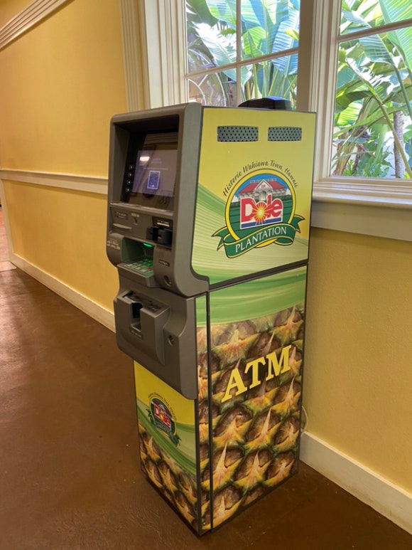 [오아후] 파인애플농장 - 사진이 예쁘게 나오는 색감 맛집 (돌 플랜테이션) 관련 이미지 19