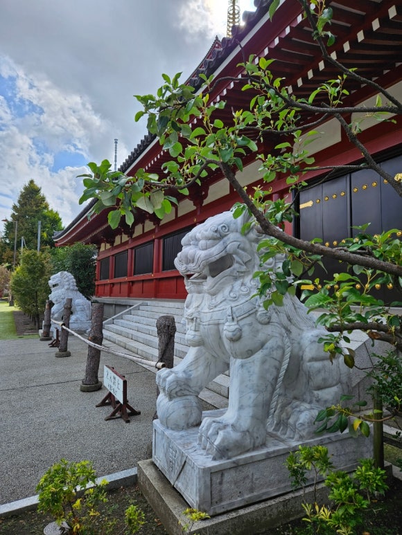 [아사쿠사] 센소지 (전세계 관광객들 모두 여기 있었네. 화월당 메론빵. 아사쿠사 상점가. 기념품 사기 좋은 곳) 관련 이미지 16