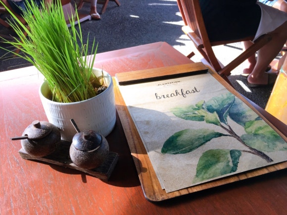 [발리,우붓] 알릴라우붓 - 원숭이랑 정글이랑 책이랑♡ (Alila Ubud) 관련 이미지 7