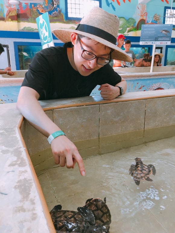 이슬라 무헤레스 -  칸쿤에서 배타기, 골프카트 끌고 섬 한바퀴 &hearts; (Tortugranja 거북이농장 / Punta Sur 푼타수르 / Playa Norte 플라야 노르떼) 관련 이미지 16