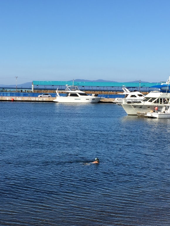 [블라디보스톡] 해양 공원의 낮과 밤 관련 이미지 2