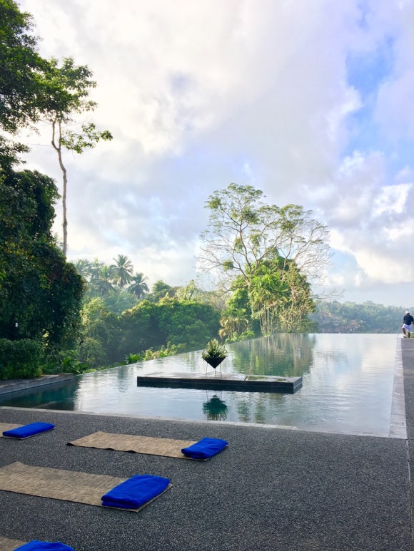 [발리,우붓] 알릴라우붓 - 원숭이랑 정글이랑 책이랑♡ (Alila Ubud) 관련 이미지 5