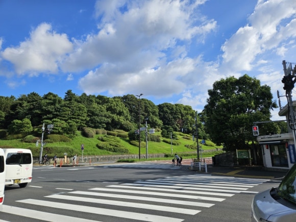 [시부야] 9월에도 꽃이 피는 요요기 공원 (도쿄의 센트럴파크, 애견 동반 달리기 코스, 버드 생츄어리) 관련 이미지 2