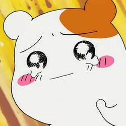 가끔은 샐러드만 주문해보자. 관련 이미지 1