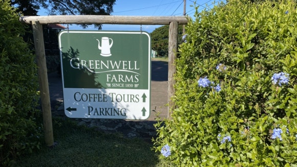 [빅아일랜드] 그린웰팜스 - 땅에서 식탁까지, 커피 라이프를 배우는 커피 농장 관련 이미지 1
